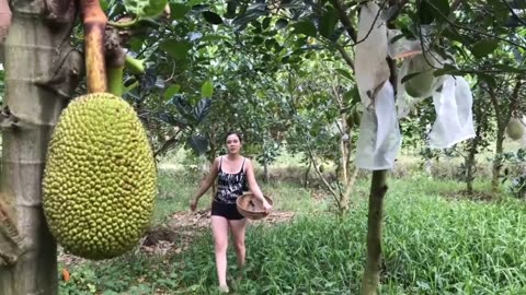 Natural Cooking