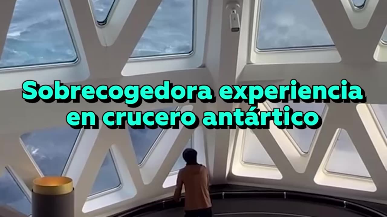 Crucero impacta olas de 12 metros en el paso de Drake
