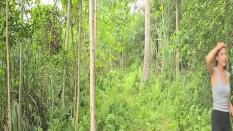 1 - 18 The Miraculous Survival Journey ofa Girl- Building a Wooden House and Hunting Wild Pigs