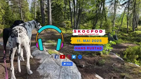 Skogpod 11. mai 2025