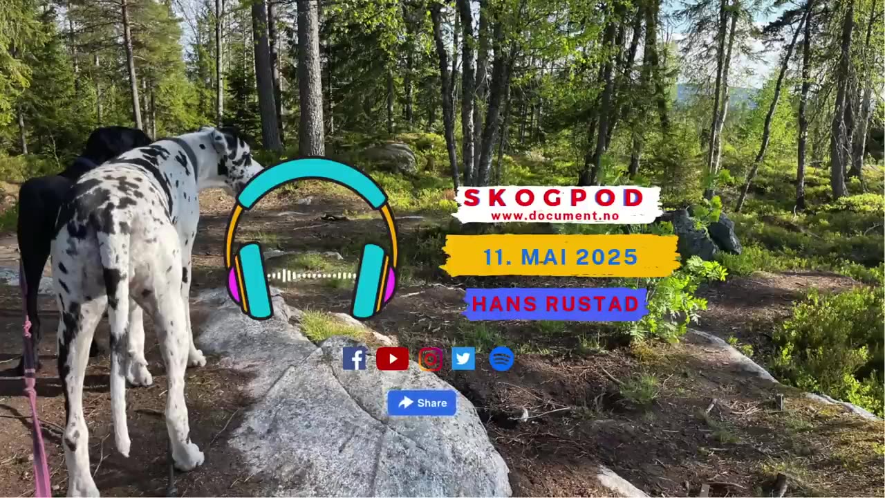 Skogpod 11. mai 2025
