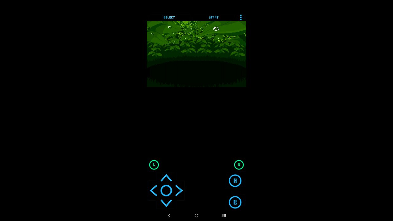 Pokémon Ruby Water type run part 1