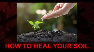 How to Heal Your Soil with Dennis and Dana Venrick