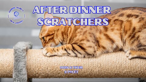 🚨🚨🚨 OLD BLUE EYES IS IN A MOOD 🚨🚨🚨