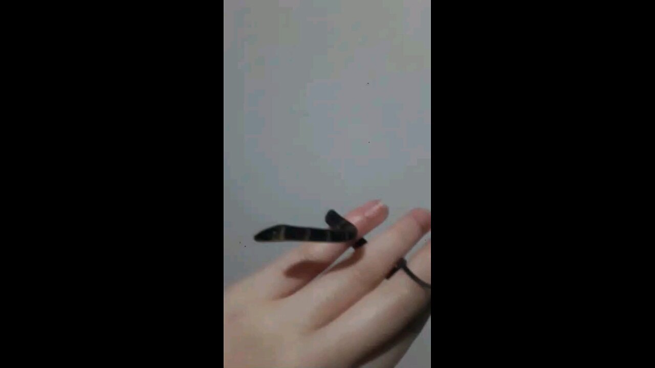 Baby Snake