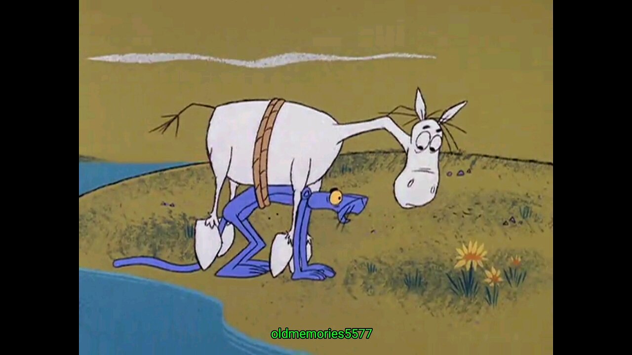 Pink Panther Pinto Pink