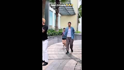 funny videos
