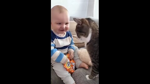 cute baby and cat