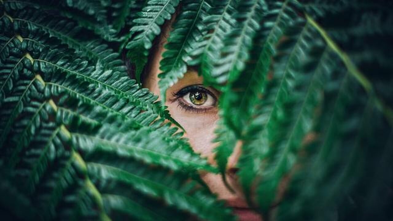 THEY LOOK LIKE PEOPLE (2025) - KJOzborne