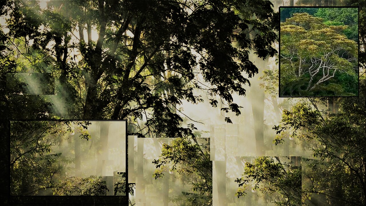 Knife which heals, needle which protects, tools must be germ-free