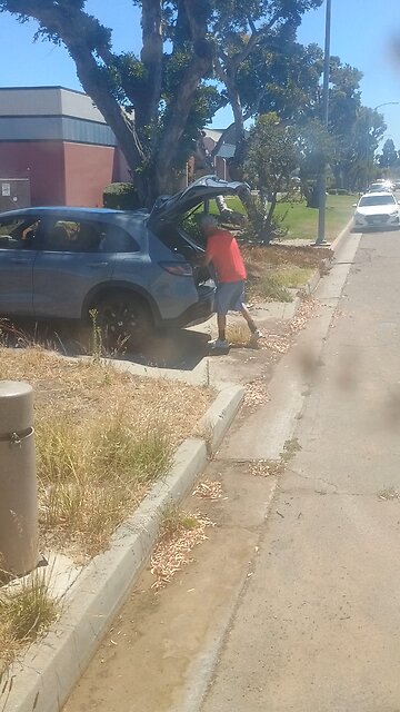 senile draconian lunatic harassing humans