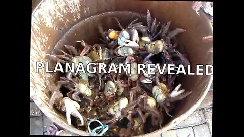 PLANAGRAM REVEALED