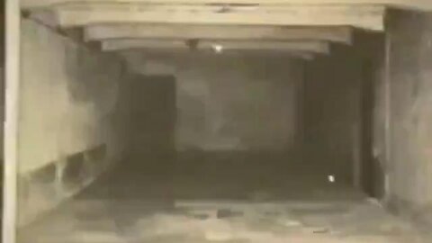 Jewish filmmaker, David Cole, catches Auschwitz tour guide lying about gas chambers