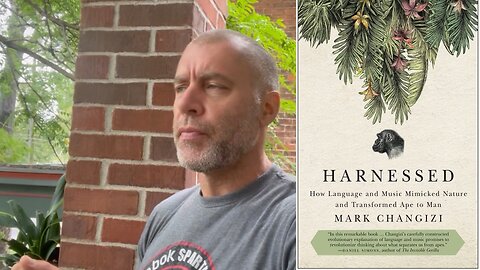 Music sounds like human movement