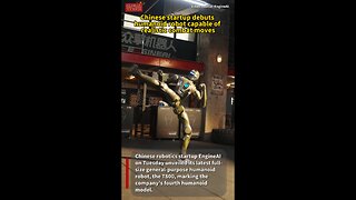 EngineAI unveil T800: martial arts fighting humanoid