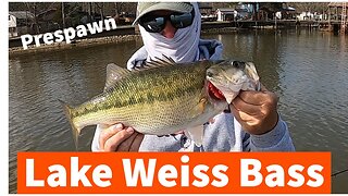 Bass Fishing Weiss Lake (after Trying Crappie!))