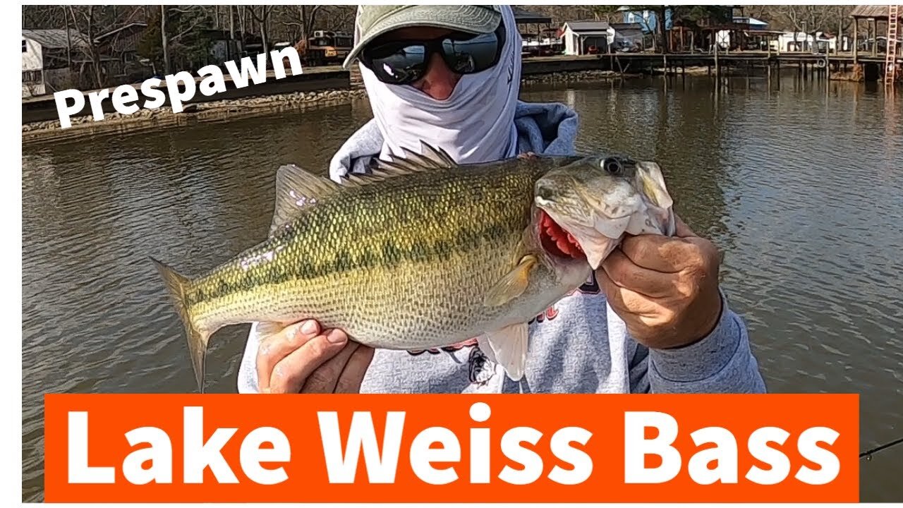 Bass Fishing Weiss Lake (after Trying Crappie!))