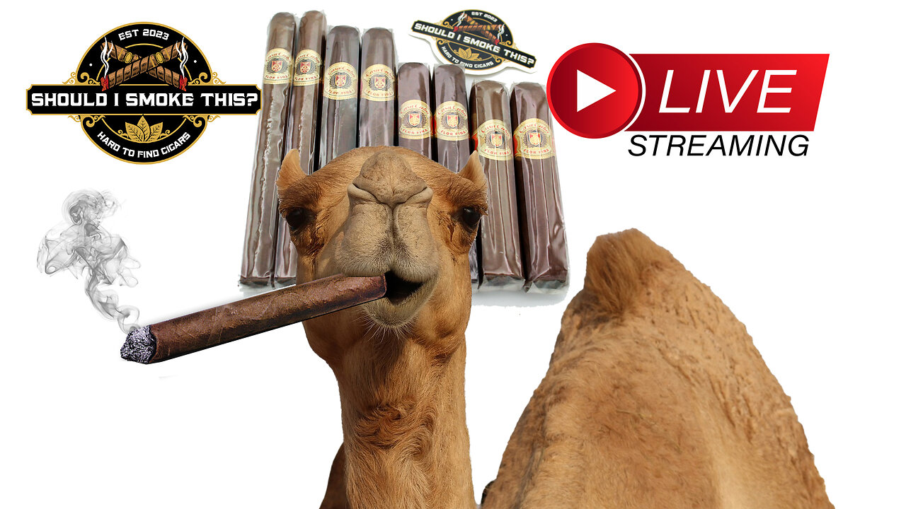 HUMP DAY LIVE STREAM with the Industry Killers & Casa Cubas..