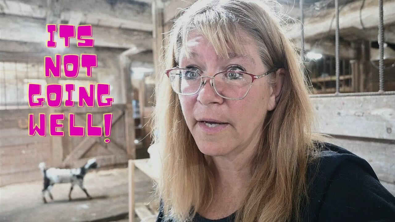 Meet Our NEW Baby GOAT!