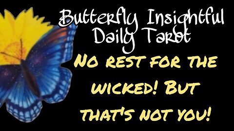 Butterfly Insightful Daily Tarot - No rest for the wicked but you're beautiful!