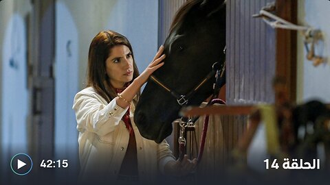 مـسـ « #لــــيــــل » | حـ (14)