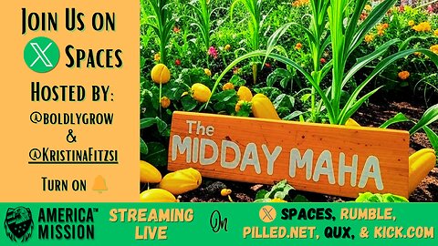 The Midday MAHA: Healing Journeys with Damo & Cooking With Chris