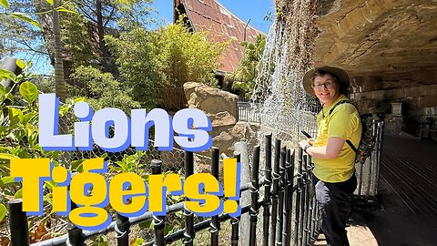 LIONS, TIGERS & THE AFRICAN TRAM! 🐅 | San Diego Zoo Safari Park Adventure