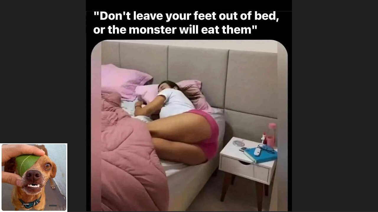 Memes That Will 99.0327% Make You Laugh. (e551)