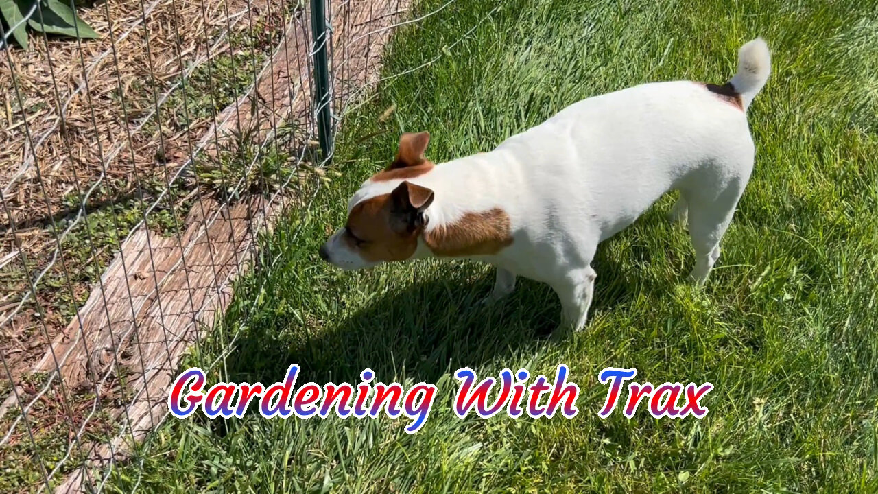 Garden with Trax