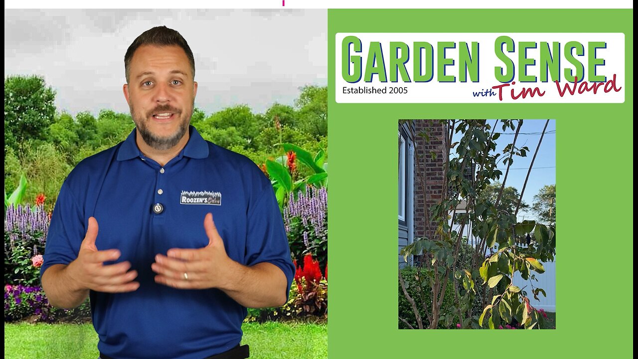Garden Sense with Tim Ward