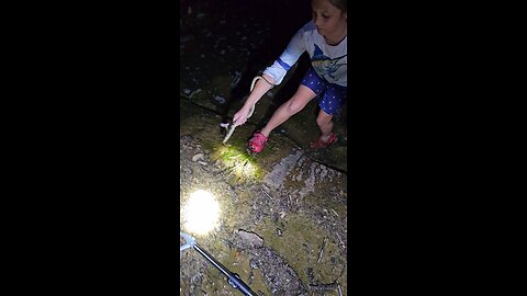 Young boy catches a Plainbelly watersnake and gets bite several times.