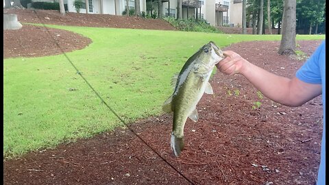 Bryan catches 2+ # bass on North Bank, First Cast!