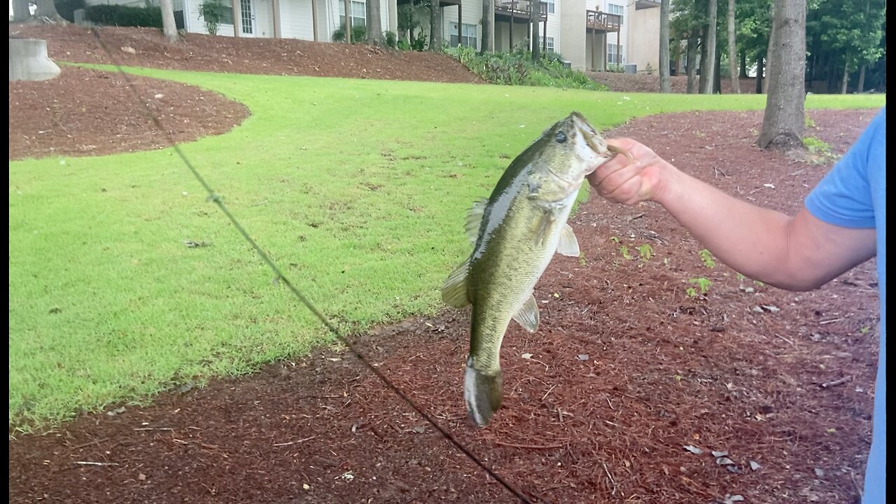 Bryan catches 2+ # bass on North Bank, First Cast!