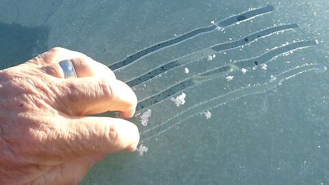 Garden Frozen in time