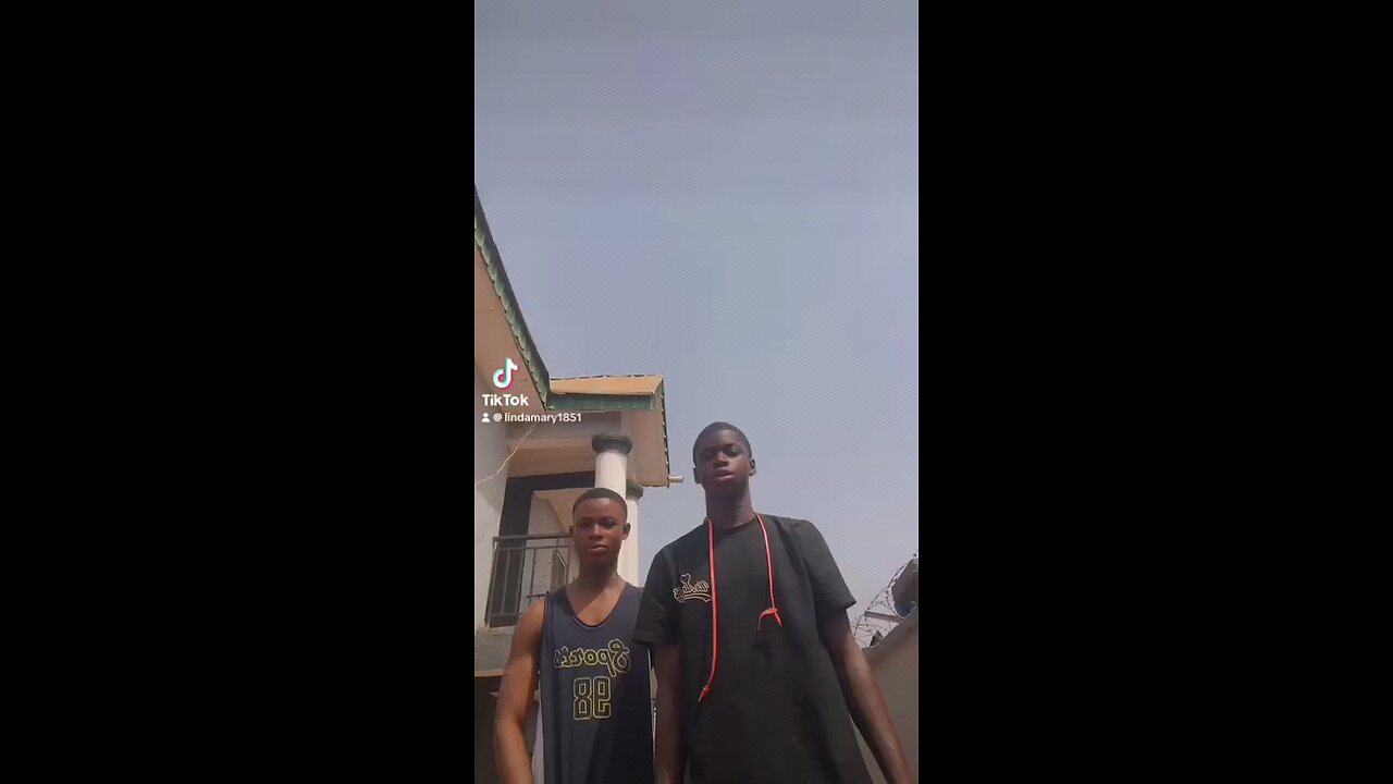 Freestyle - Trimeric X Horz