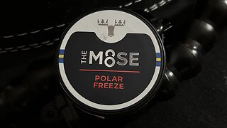 The Moose Polar Freeze (Nicotine Pouches) Review