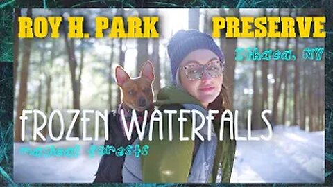 Hidden Winter Wonderland (Roy H. Park Preserve) Frozen Waterfalls & Pine Forest Magic! Ithaca, NY
