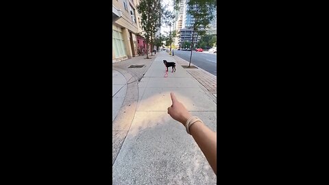 The look in the end.