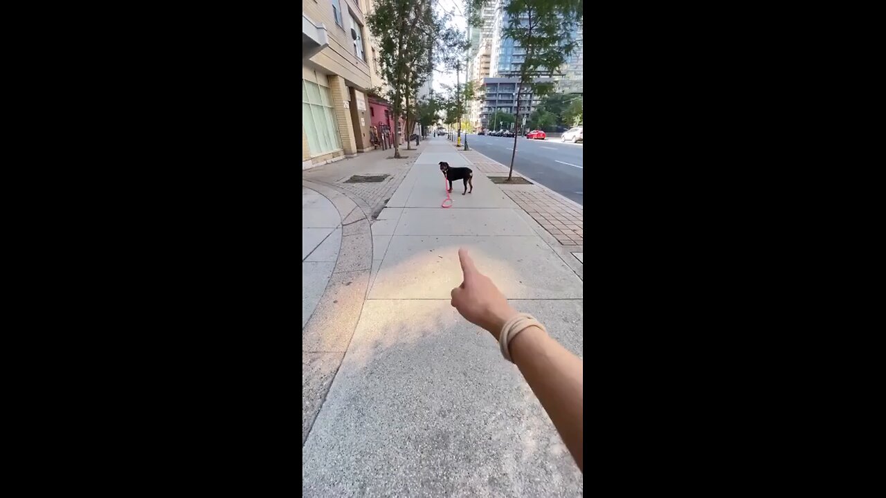 The look in the end.