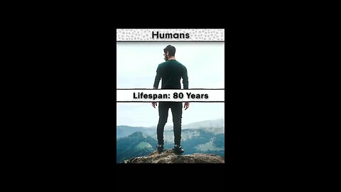 Unique world🤯