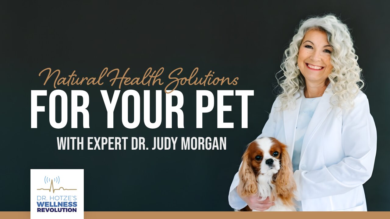 Natural Health Solutions for Your Pet with Expert Dr. Judy Morgan