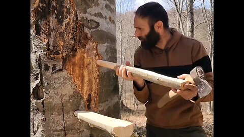 The Sustainable Shelter You Can Build With Tree Branches