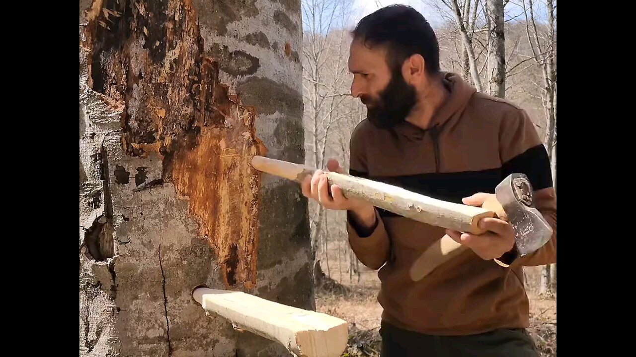 The Sustainable Shelter You Can Build With Tree Branches