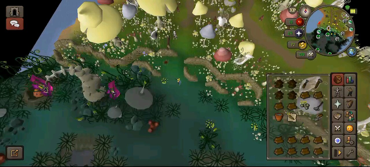 bird house runs osrs iron man 10 hp