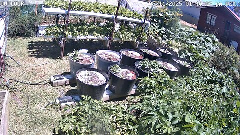 Outdoor Timeplapse Ending 06-11-2025