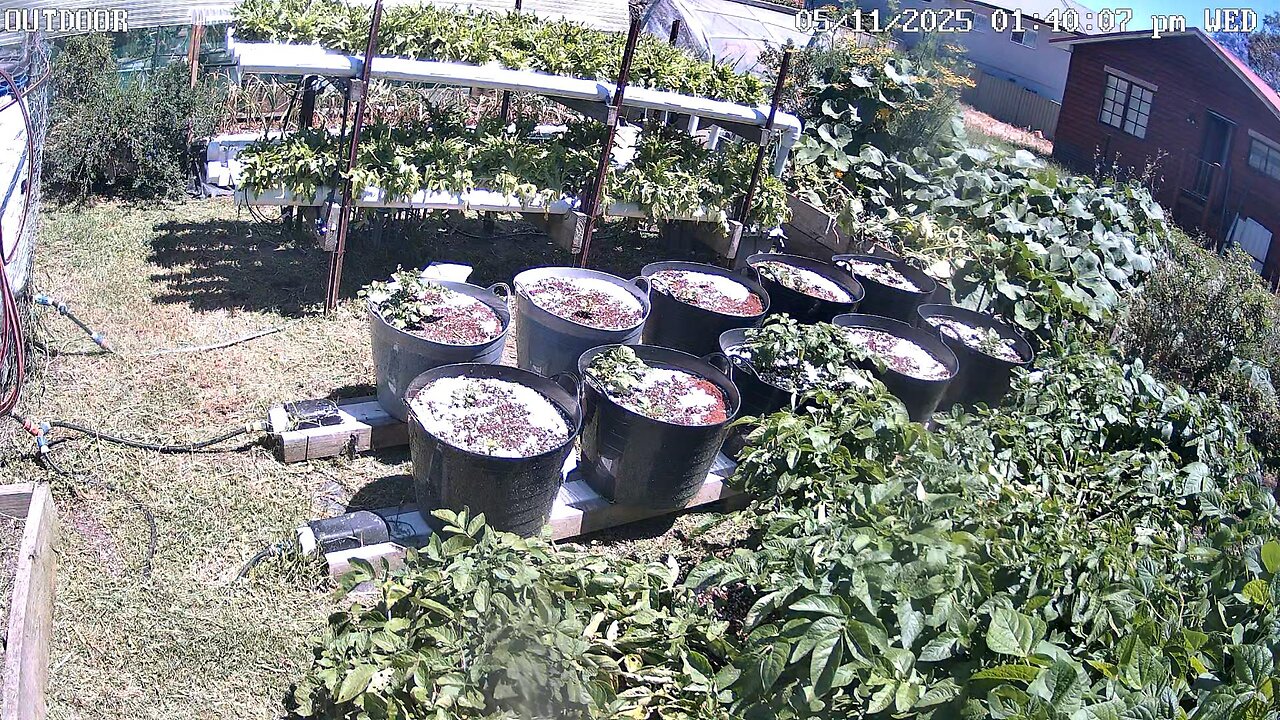 Outdoor Timeplapse Ending 06-11-2025