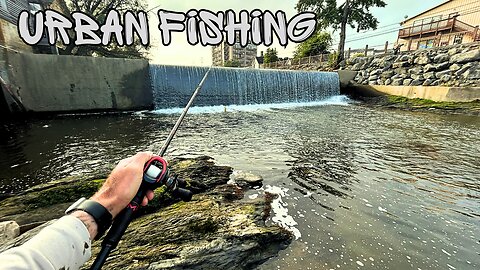 Fishing an Urban Tennessee Creek with an Unreleased Lure