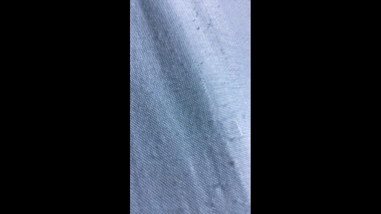 Rat sfx
