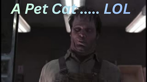 GTA 5 - A Pet Cat ... LOL But Seriously, We Love Our Cats And Dogs
