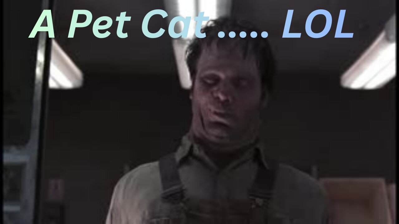 GTA 5 - A Pet Cat ... LOL But Seriously, We Love Our Cats And Dogs